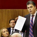 El portavoz del Partido Popular en el Parlamento de Andalucía, Carlos Rojas.