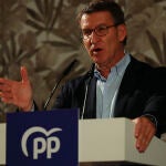 El presidente del PP, Alberto Núñez Feijóo, durante su discurso en la jornada de clausura de la tradicional pulpada del partido en Lugo, este sábado. EFE/ Eliseo Trigo