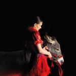 "Eo", de Jerzy Skolimowski, es la película seleccionada por Polonia para competir en los Premios Oscar