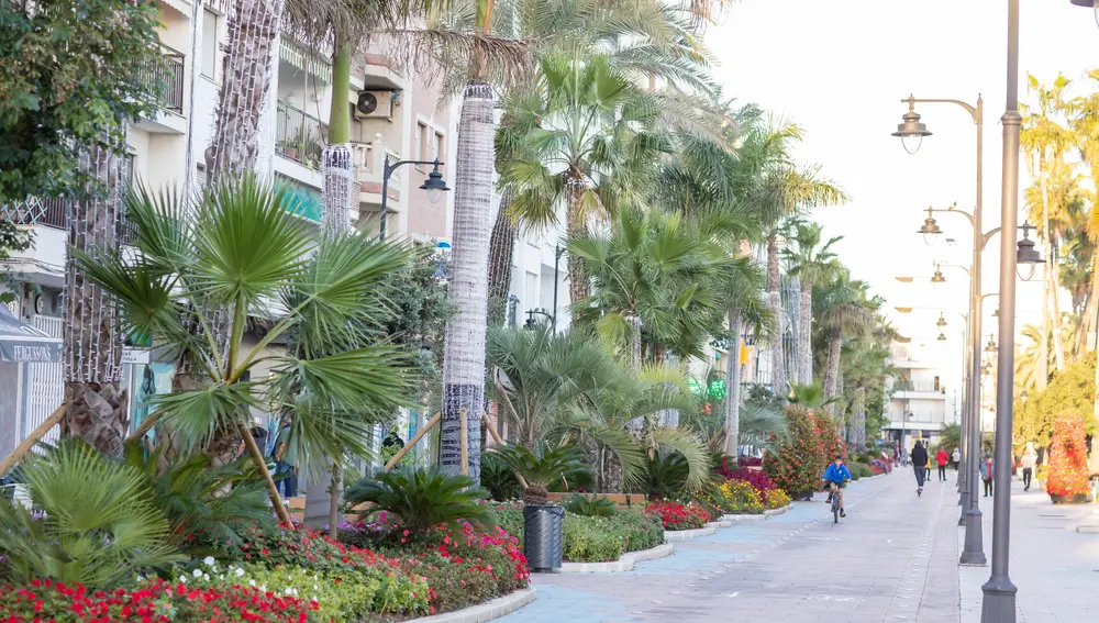 Estepona se ha convertido en el jardín urbano más grande del país