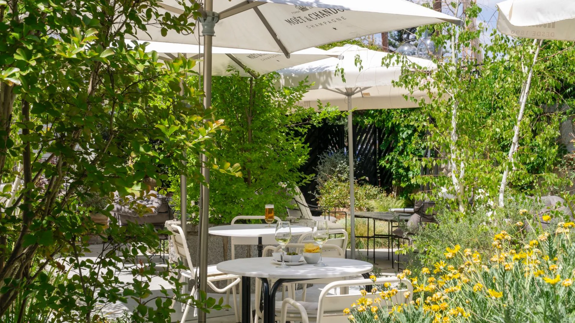 La terraza tiene una extensión de unos mil metros cuadrados