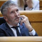 Marlaska se compromete a subir a 38 millones la partida para "equiparar" las indemnizaciones a víctimas de ETA