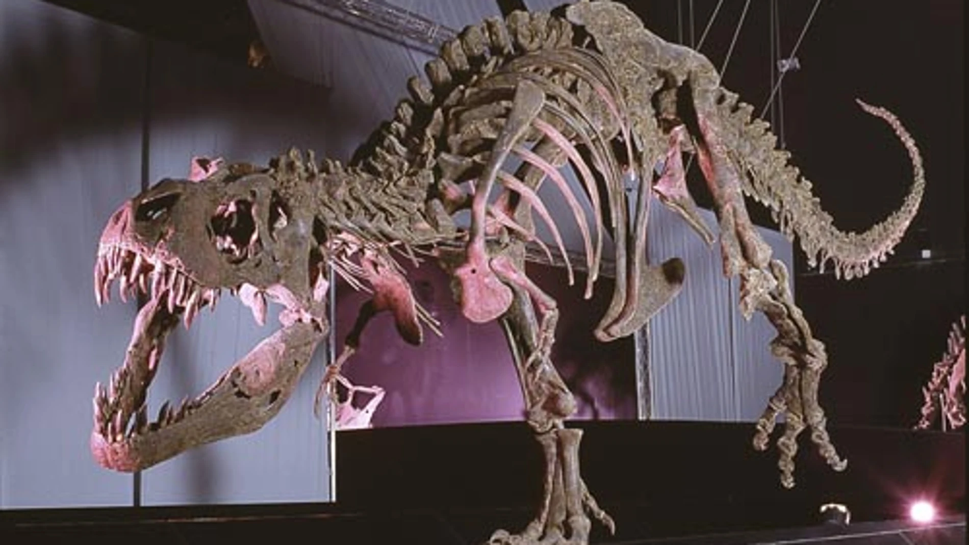 Parque de la extinción de los dinosaurios