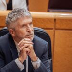 El ministro del Interior, Fernando Grande-Marlaska, permanece callado ante las acusaciones policías nacionales y guardias civiles