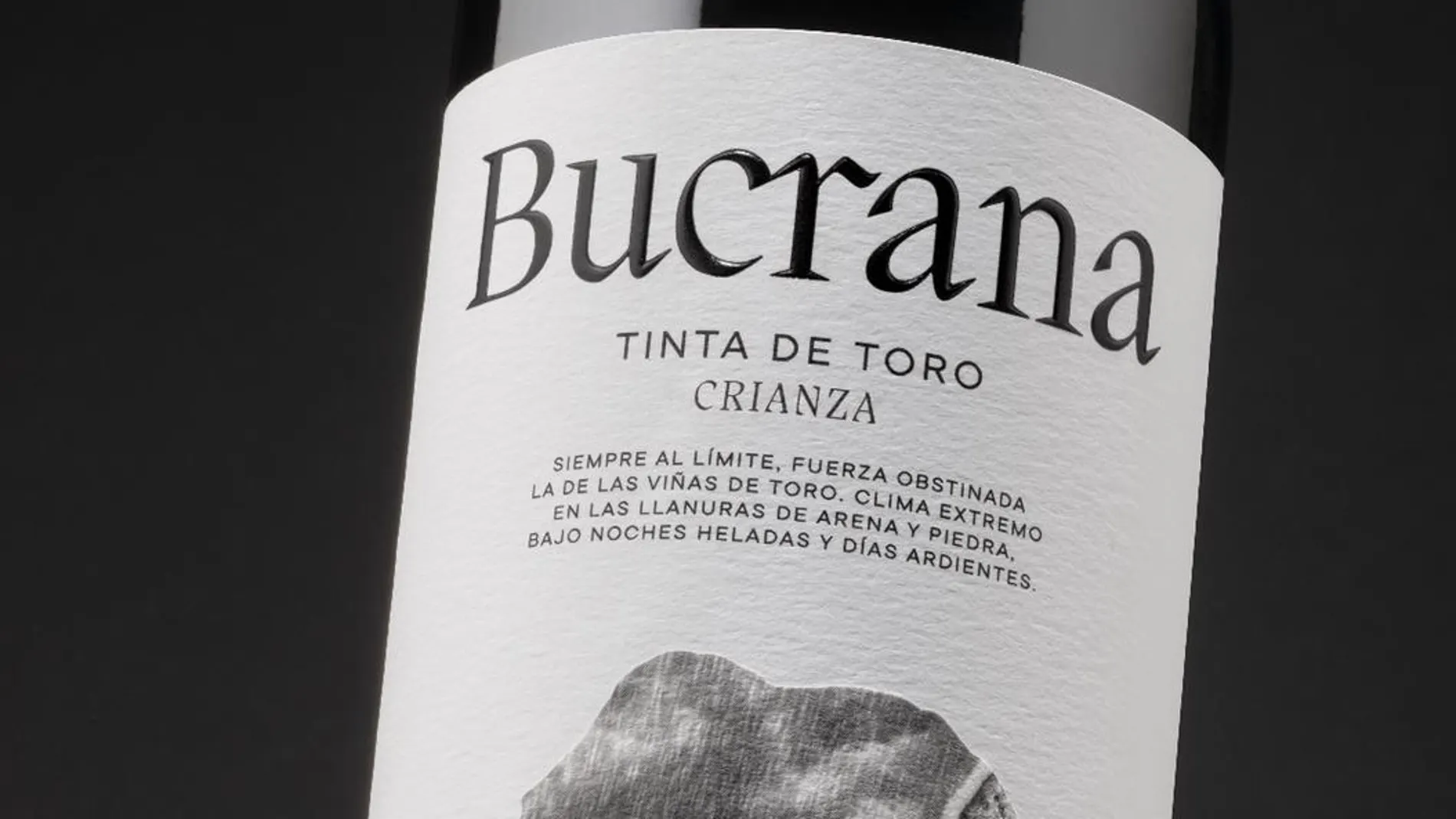 Uno de los nuevos vinos