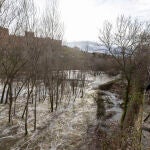 Río Adaja a su paso por la ciudad de Ávila