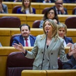 Sesión de control al gobierno en el Senado. La portavoz del PP en la cámara Alicia García © Alberto R. Roldán 