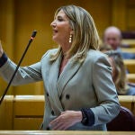 Sesión de control al gobierno en el Senado. La portavoz del PP en la cámara Alicia García © Alberto R. Roldán 
