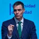 El presidente del Gobierno, Pedro Sánchez