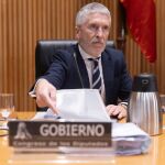 El ministro de Interior, Fernando Grande-Marlaska