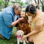 Si tu perro hace esto, es posible que te haya detectado una enfermedad