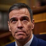 Comparecencia del presidente del Gobierno, Pedro Sánchez para informar sobre las medidas que el Ejecutivo va a