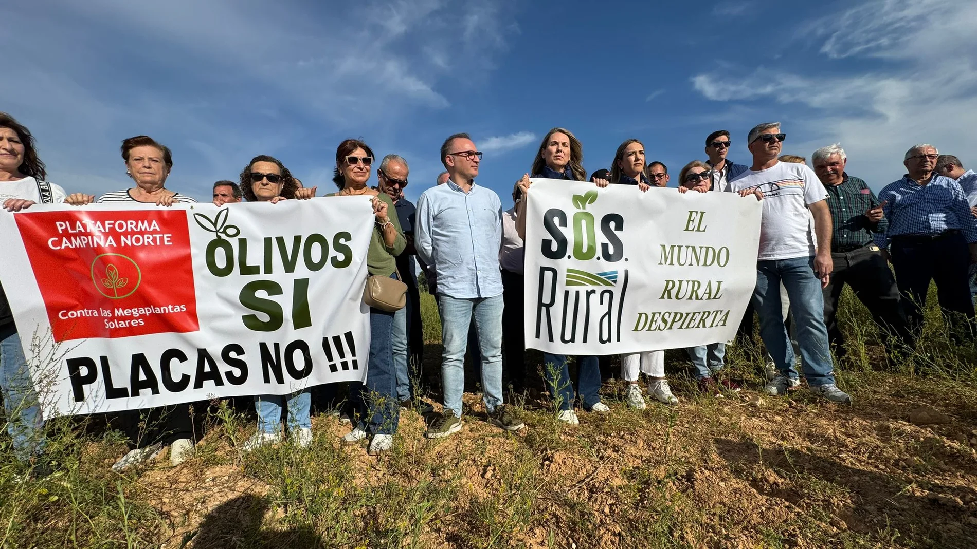 Manifestación contra la eliminación de olivos para instalar placas solares