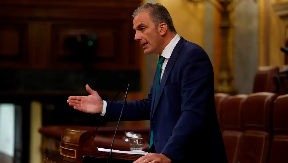 El diputado de Vox Javier Ortega Smith interviene en la sesión plenaria celebrada este miércoles en el Congreso de los Diputados