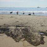 Vertido de crudo en CaliforniaZENG HUI / XINHUA NEWS / CONTACTOPHOTO04/10/2021 ONLY FOR USE IN SPAIN