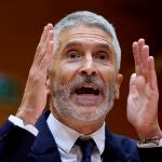 El ministro del Interior, Fernando Grande-Marlaska