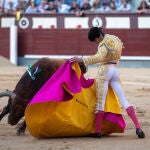 Toros en Las Ventas