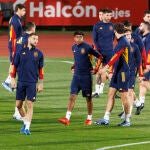 EBTRENAMIENTO DE LA SELECCIÓN ESPAÑOLA DE FÚTBOL EN LAS ROZAS