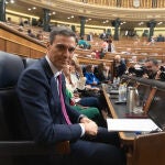 Pedro Sánchez