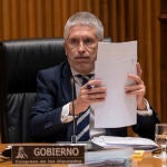 Marlaska comparece en la comisión de Interior del Congreso. David Jar