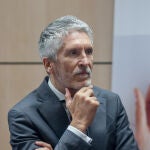 El ministro del Interior, Fernando Grande-Marlaska