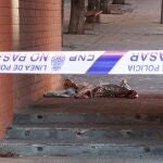 La Policía Nacional ha detenido a una persona por la muerte de un joven de 26 años esta madrugada en el distrito madrileño de San Blas, quien ha sufrido heridas en una axila causadas al parecer por una botella de vidrio. 