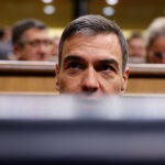 Pleno del Congreso de los Diputados @Gonzalo Pérez Mata 