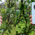 El mismo móvil, dos temperaturas distintas
