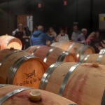 Sala de barricas de la bodega El Grillo y La Luna